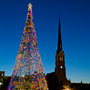 Marion Square decorated for Christmas