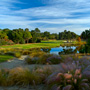 Par 3 third hole on the River Course, Kiawah Island highlighted by blooming sweetgrass