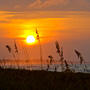 Sunrise through the sea oats on Kiawah Island beach