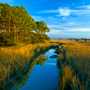 Creek and a hummock island in the lowcountry marsh